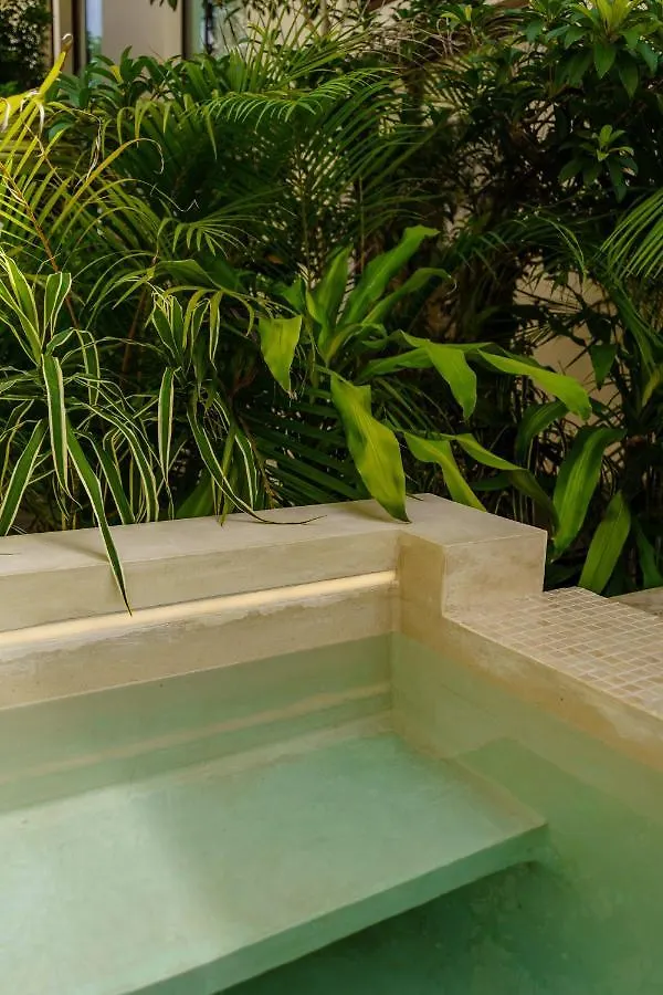 205 Perfect Location 3 Bedrooms Apartment Tulum