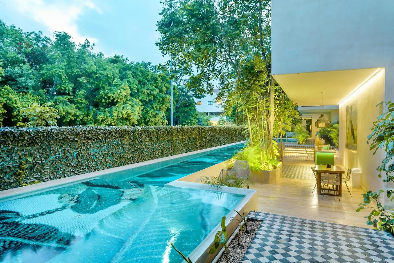 205 Perfect Location 3 Bedrooms Apartment Tulum 0*,  Mexico