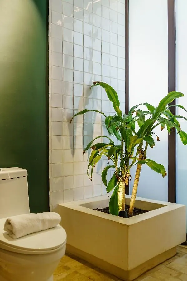 205 Perfect Location 3 Bedrooms Apartment Tulum Mexico